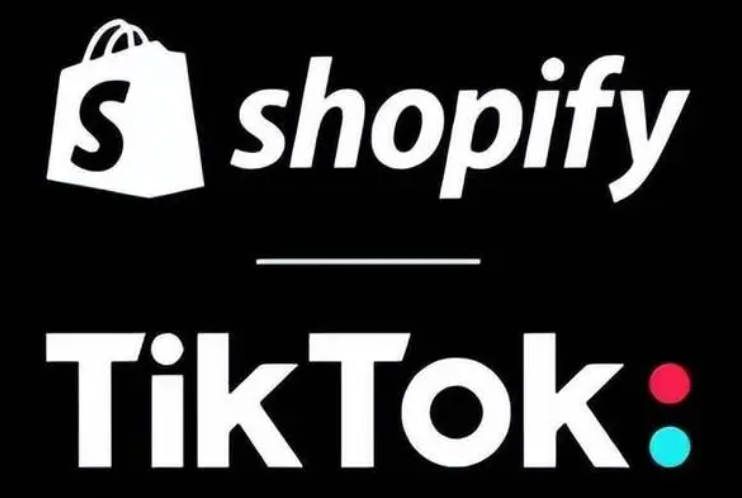 TikTok引流到独立站全攻略，新手也能轻松上手