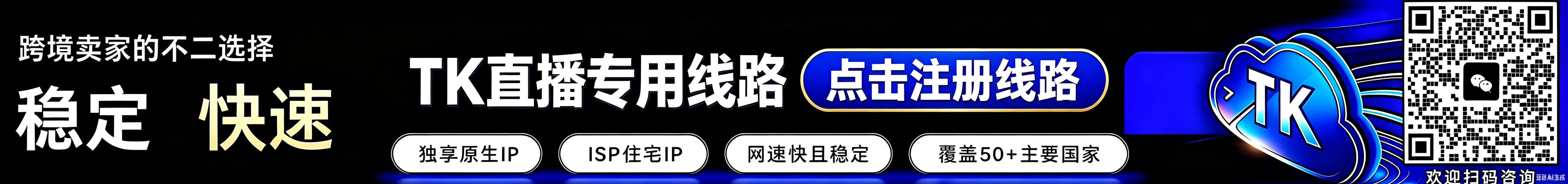 海外独享线路
