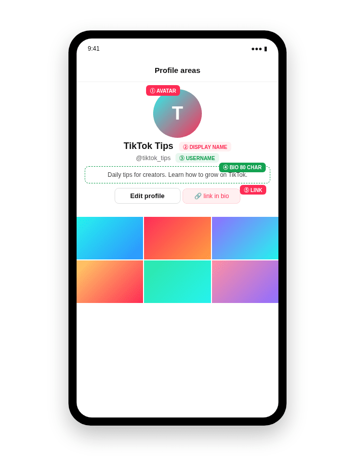 TikTok主页字段区域标注示意图