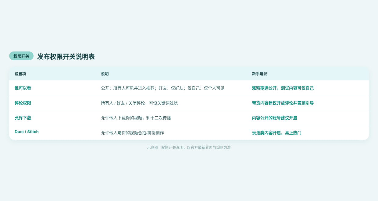 TikTok发布权限开关说明表